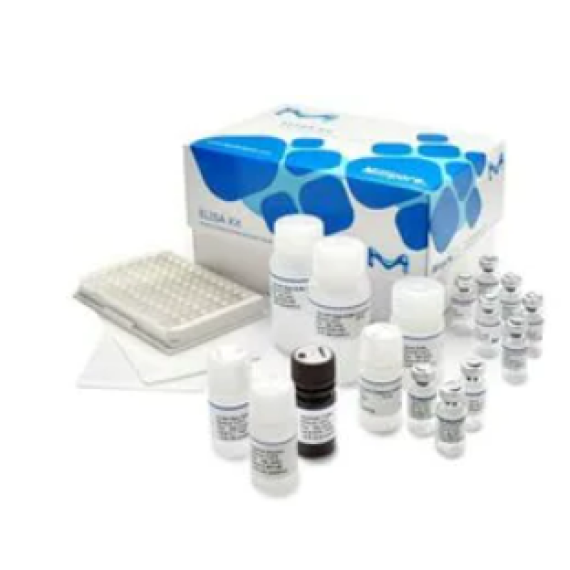 Buy EnzymeLinked Immunosorbent Assay (ELISA) Kits get price for lab